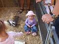 Sofia i  FarmFun 085
